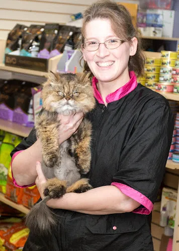 For K-9s & Felines, LLC - Professional cat grooming in Westfield, MA