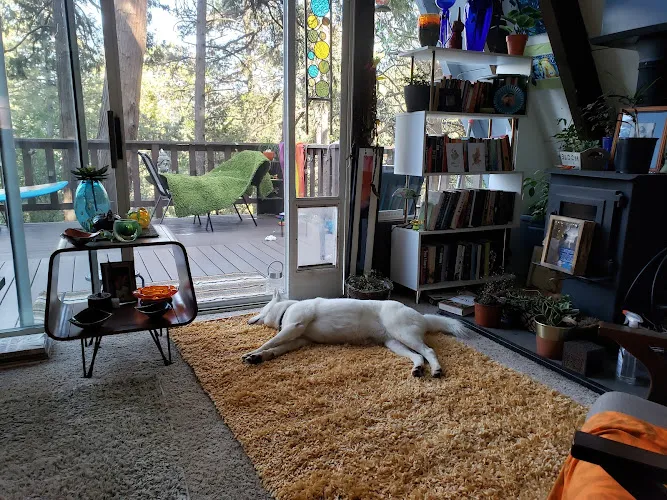Doggie Styles - Cat grooming in Crestline