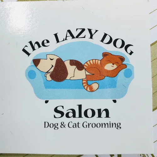 The Lazy Dog Salon - Cat grooming in West Hazleton