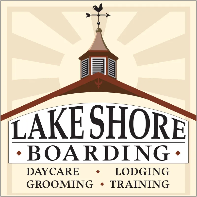 Professional Pet (Dogs & Cats)  in the Nampa - Cat grooming in Nampa
