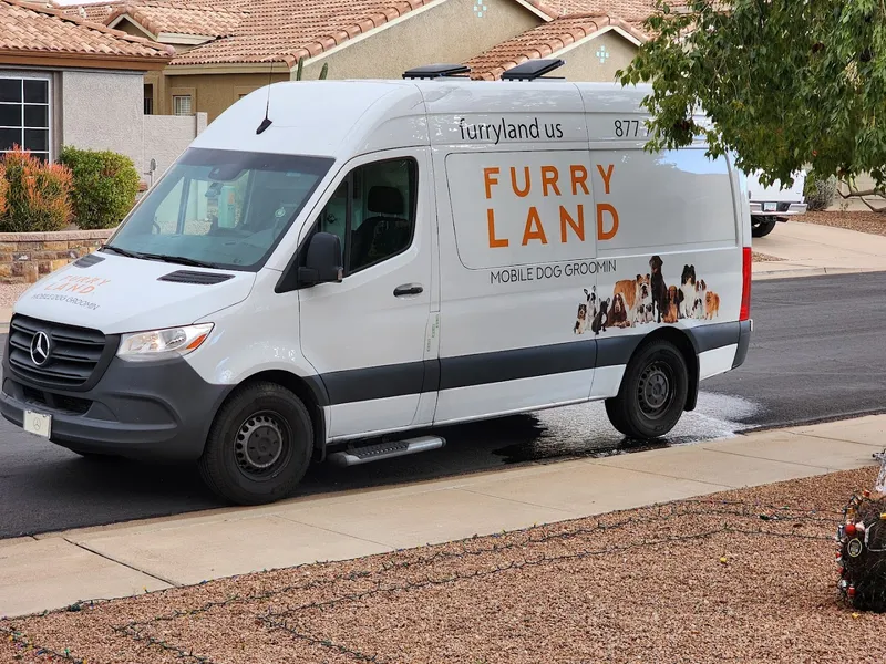 Furry Land of Phoenix - Cat grooming in Phoenix