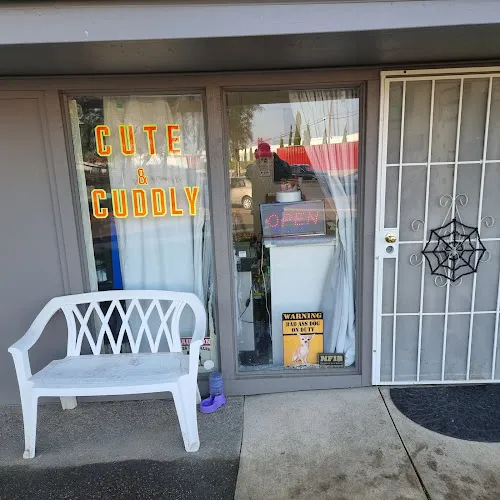 Cute & Cuddly Grooming - Cat grooming in Sacramento