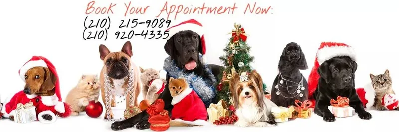 Pet Rescue Xpress Spa Mobile Groomer - Cat grooming in San Antonio