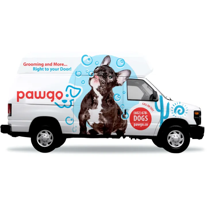 Beverly Hills Mobile Pet Grooming - Cat grooming in Los Angeles
