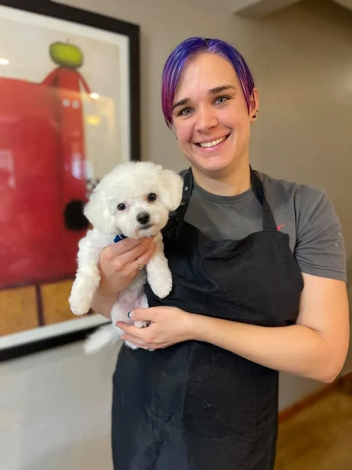 Jacqulyne’s Pet Grooming - Cat grooming in San Antonio