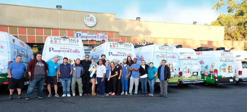 Pampered Tails West LA Mobile - Cat grooming in Los Angeles