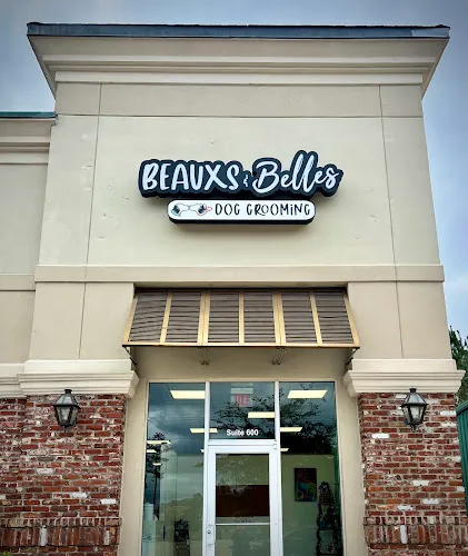 Beauxs and Belles Dog Grooming LLC - Cat grooming in Covington