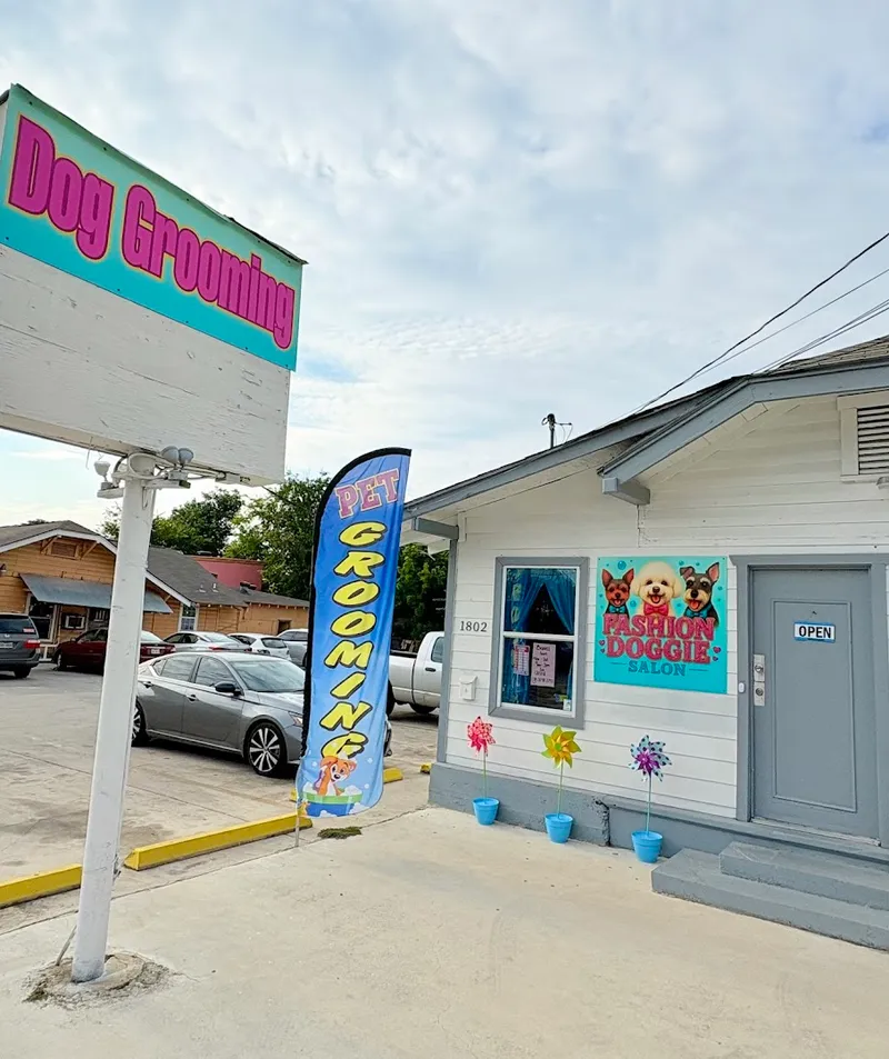 Fashion Doggie Salon - Cat grooming in San Antonio