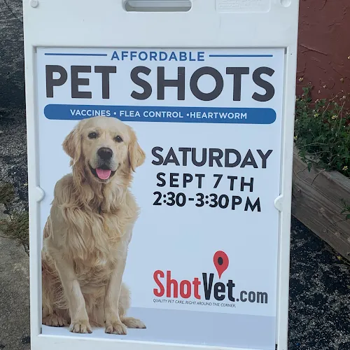 Deltona Happy Tails | Pet Grooming - Cat grooming in Orange City