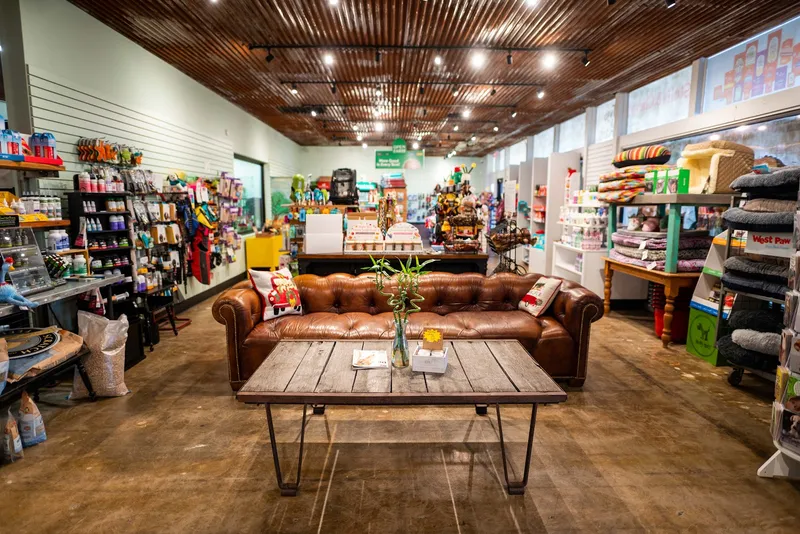 The Hairy Dog - Cat grooming in Phoenix