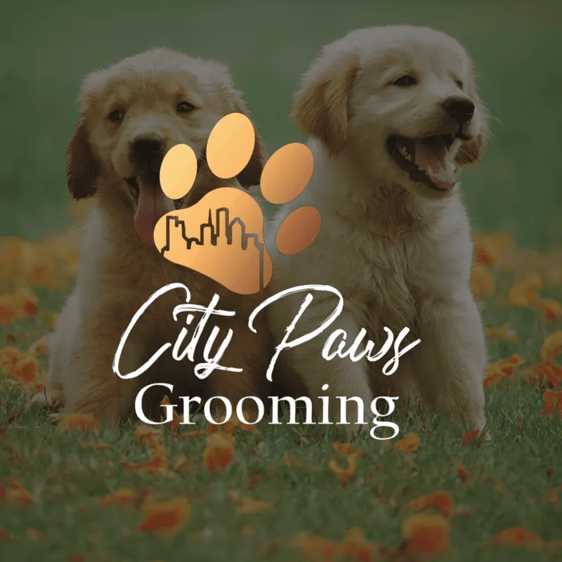 CityPaws Grooming - Mobile cat grooming in Houston, TX