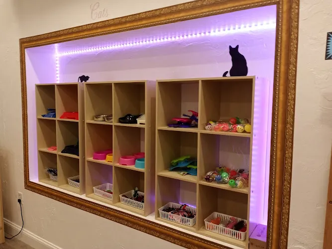 Paws & Purrfection Company - Cat grooming in Malden