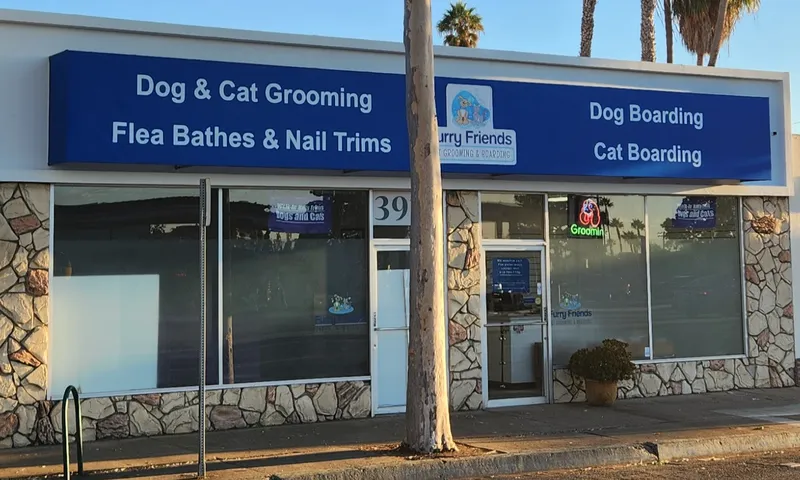Furry Friends Dog and Cat Grooming - Cat grooming in San Diego