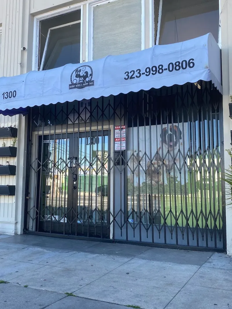 Bubbly Noses & Happy Tails - Cat grooming in Los Angeles