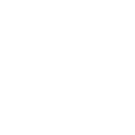 Bark On Main - Professional cat grooming in Norman, OK