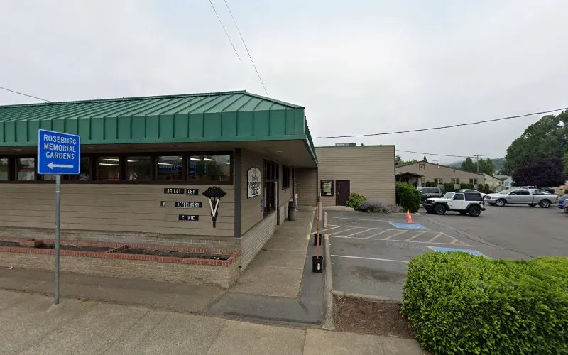 Bailey Veterinary Groom Salon - Mobile cat grooming in Roseburg, OR