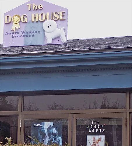 Dog House - Cat grooming in Mashpee