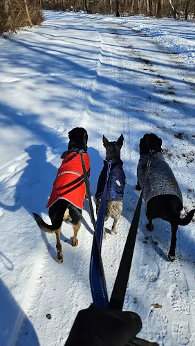 The Dober-Mann grooming & petcare LLC - Cat grooming in Torrington