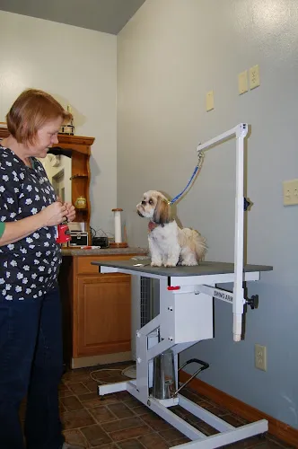 First Choice Grooming and Boarding, LLC - Mobile cat grooming in Appleton, WI