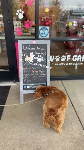 Woof Gang Bakery & Grooming Lake Oswego - Professional cat grooming in Lake Oswego, OR