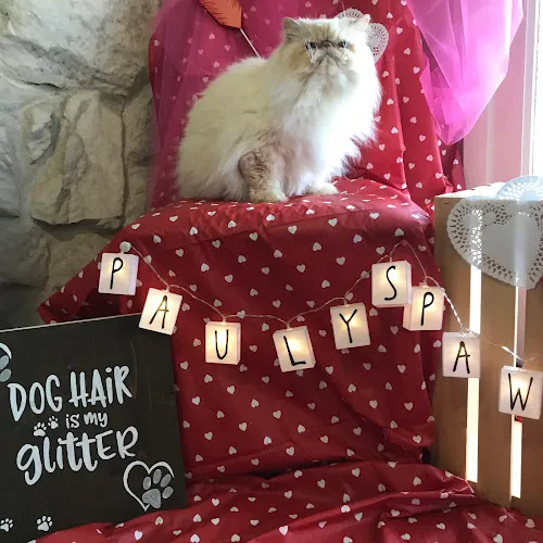 Pauly's Paw Spa - Cat grooming in Port Orchard