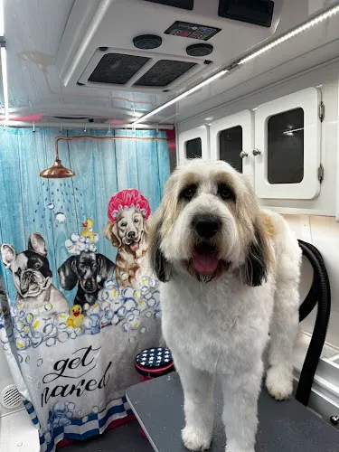 Lush Pups Mobile Spa - Cat grooming in Bothell