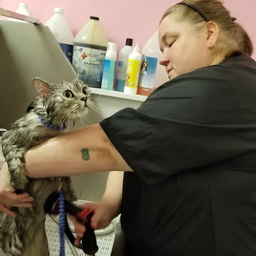 Woof Gang Bakery & Grooming Stonebriar - Cat grooming in Plano