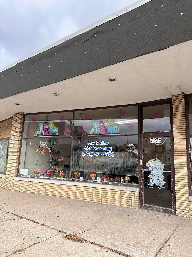 Paw & Claw Cat Grooming - Cat grooming in Chicago