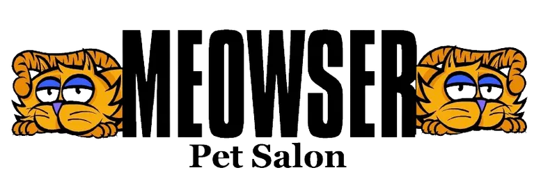 Salt Lake City's Premier  Specialist - Cat grooming in Salt Lake City