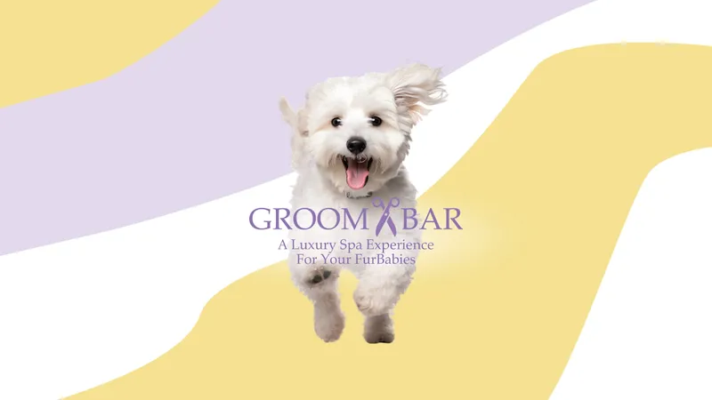 Groombar Mobile Chicago - City - Cat grooming in Chicago