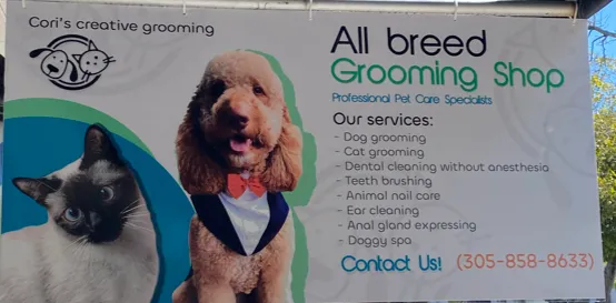 Cori's Creative Grooming - Cat grooming in Miami