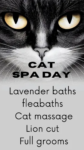 Kandys Pups 'N' Stuff Pet Spa & Hotel - Cat grooming in Barstow