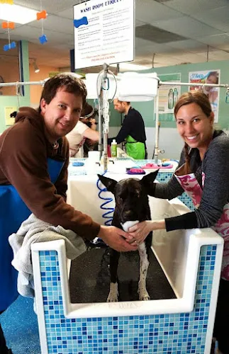 Scrubbers Self-Serve Dog Wash & Professional Grooming - West Bloomfield - Cat grooming in West Bloomfield Township