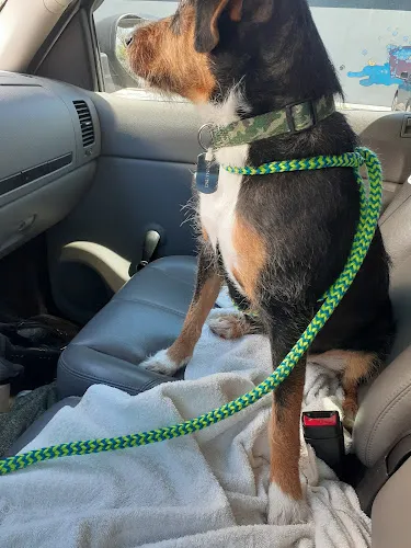 Shampooches Self-Service Dog Wash & Boutique - Cat grooming in Morehead City