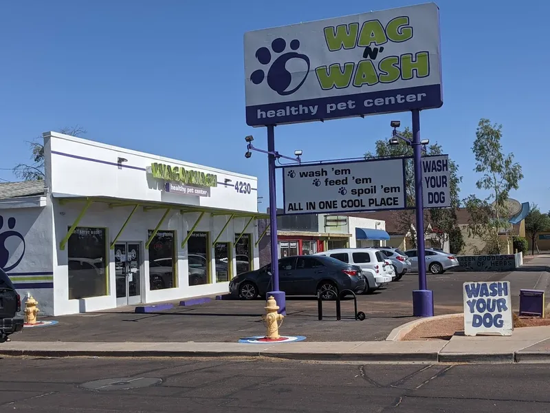 Bark If You’re Dirty - Phoenix - Cat grooming in Phoenix
