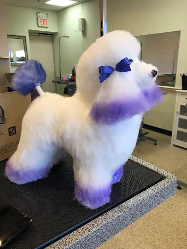 The Dog Spa - Cat grooming in Norwood