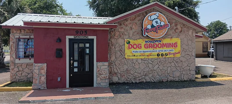 Furry Fadez Pet Grooming - Cat grooming in San Antonio