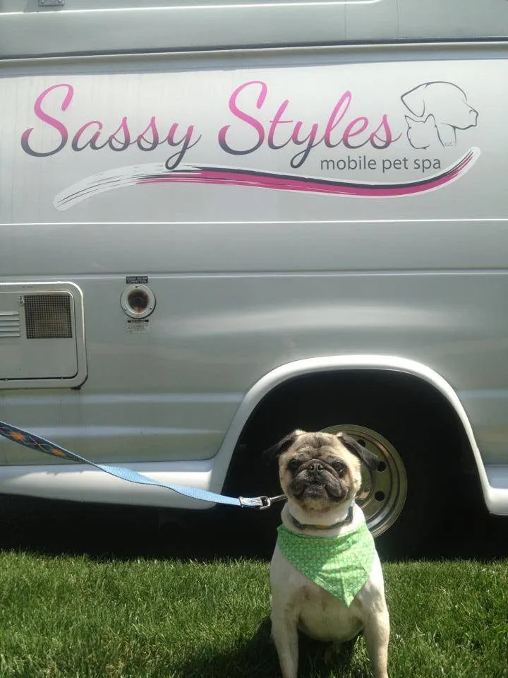 Sassy Styles Mobile Pet Spa - Mobile cat grooming in New York, NY