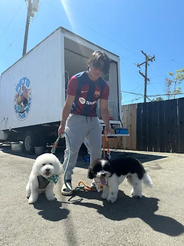 Pets of the bay - Cat grooming in San Jose