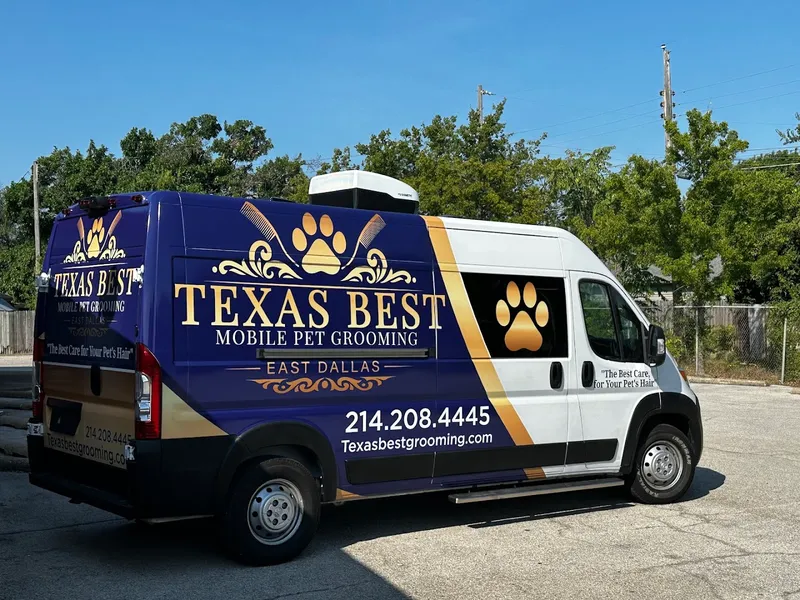 Texas Best Mobile Pet Grooming - East Dallas - Cat grooming in Dallas