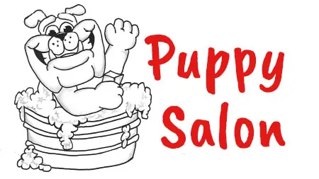 Services, Feline Grooming - Cat grooming in Bismarck