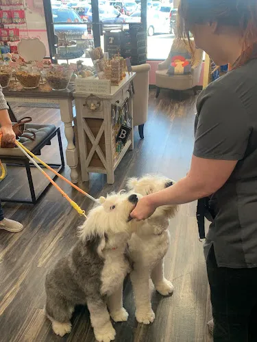 Woof Gang Bakery Boulder - Cat grooming in Boulder