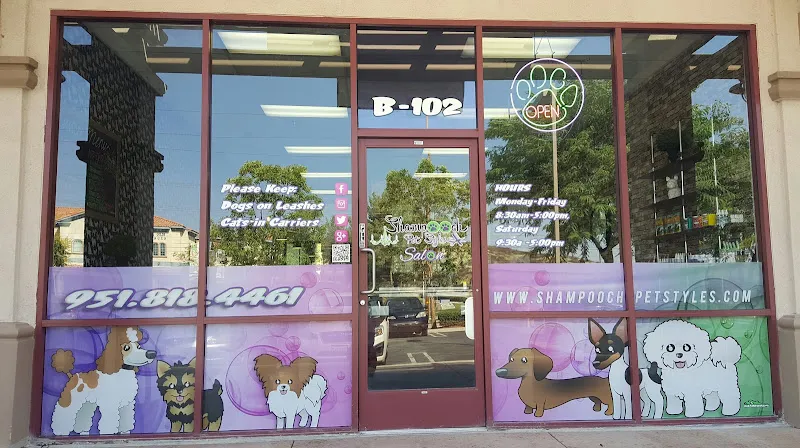 Shampooch Pet Styles - Cat grooming in Temecula