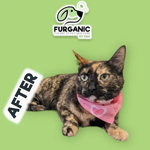 Furganic by R&K - Mobile cat grooming in Miami, FL