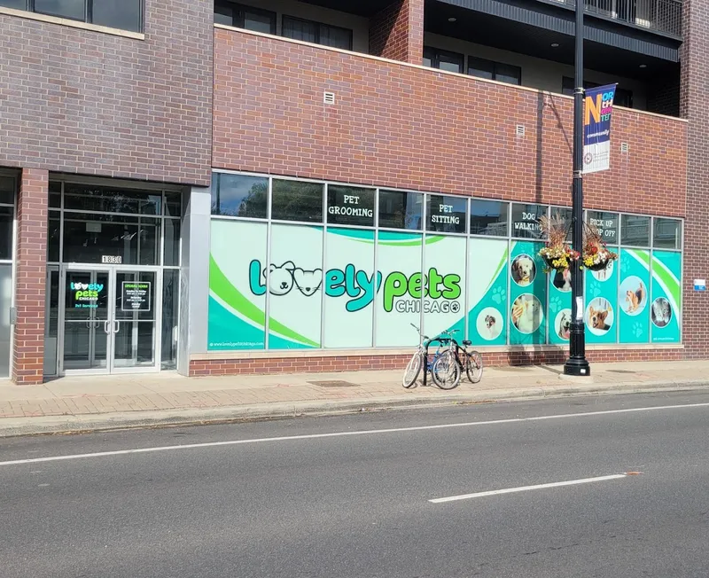 LOVELY PETS CHICAGO - Cat grooming in Chicago