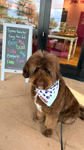 Woof Gang Bakery & Grooming DC Ranch - Cat grooming in Scottsdale