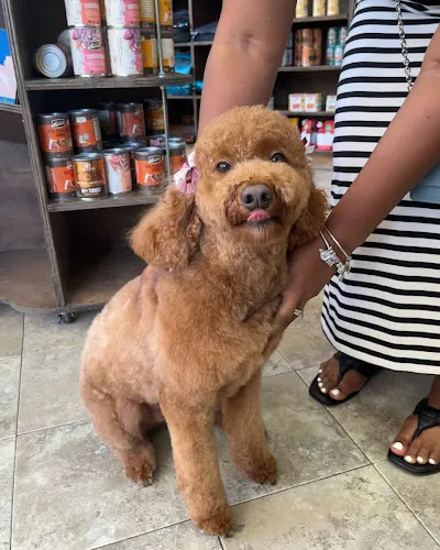 Roger's Bark Pet Salon Inc - Cat grooming in Chicago
