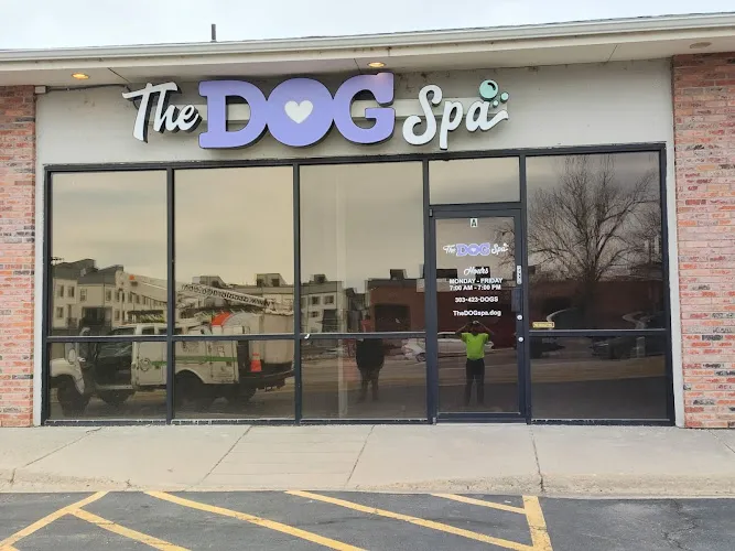 The Dog Spa - Cat grooming in Arvada
