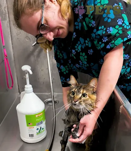 Pets Etc. - Cat grooming in Plainfield