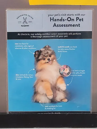 Petco Grooming - Cat grooming in Brandon